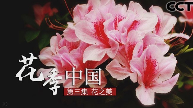 套现花呗平台 现金安全吗知乎