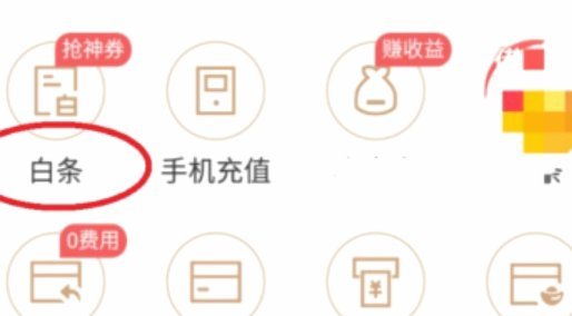白条额度获取与管理指南