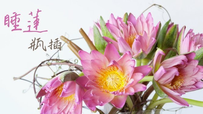 花呗是什么平台的