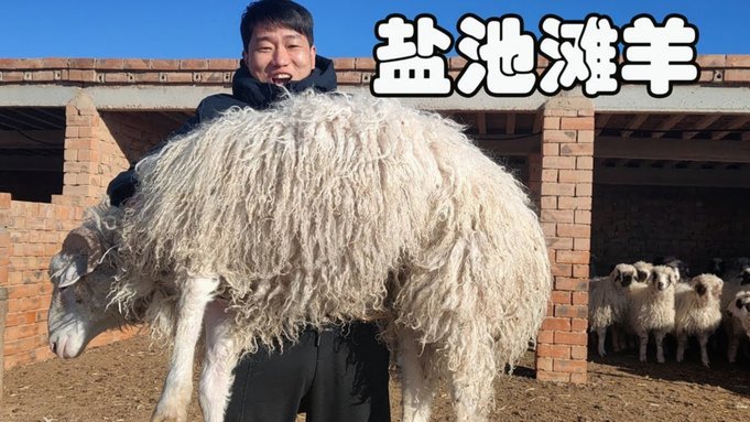羊小咩消费额度怎么取出来