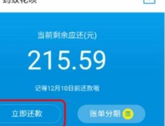 套用花呗额度是什么意思