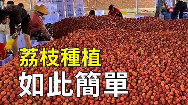 便荔卡包取现额度怎么套出来