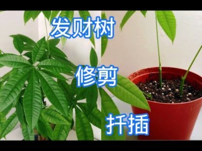携程拿去花付款方式解析