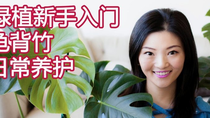 携程拿去花怎么付款