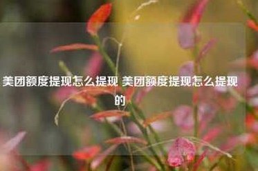 美团取现额度：官方数据 vs. 实际能提多少？