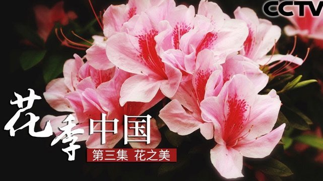 花呗风险：隐藏在便利背后的陷阱