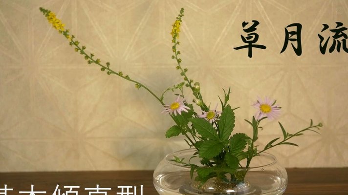 花呗怎么套现出来到支付宝里