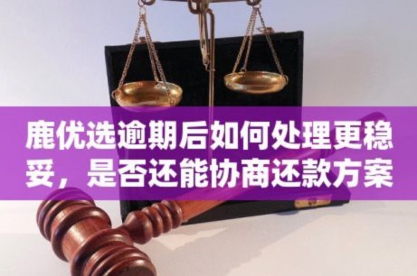 鹿优选提现：信用池规则与提现技巧