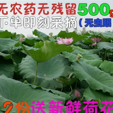 拿去花怎么能提现