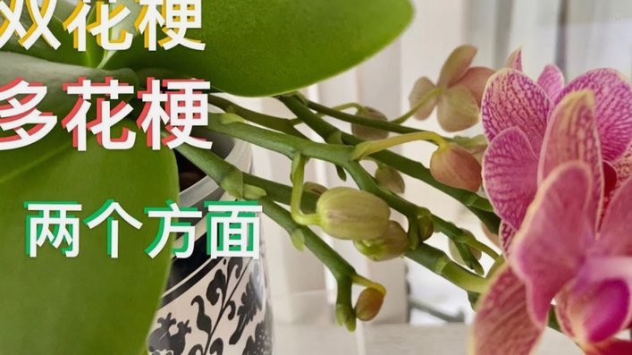 警惕花呗秒套平台风险：理性选择指南