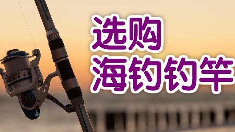 白条哪个时间最容易钓