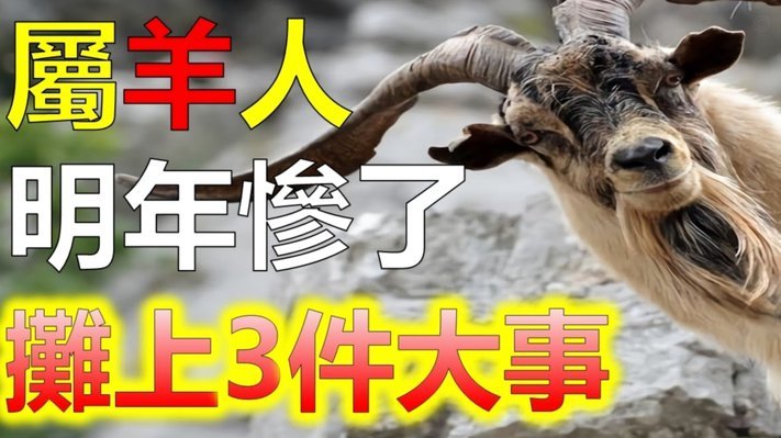 羊小咩网贷是什么平台