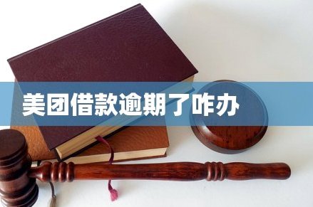 美团月付取现的商家 秒到账吗