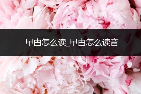 如何安全高效地从白条借钱