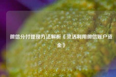 分付怎么转给个人 取现金