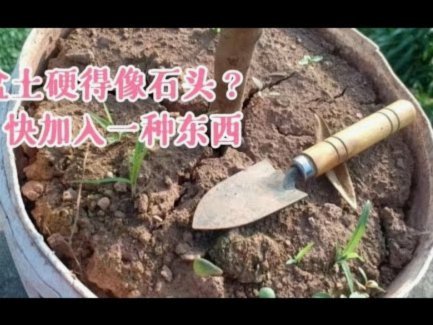 花呗额度如何变成可用现金？