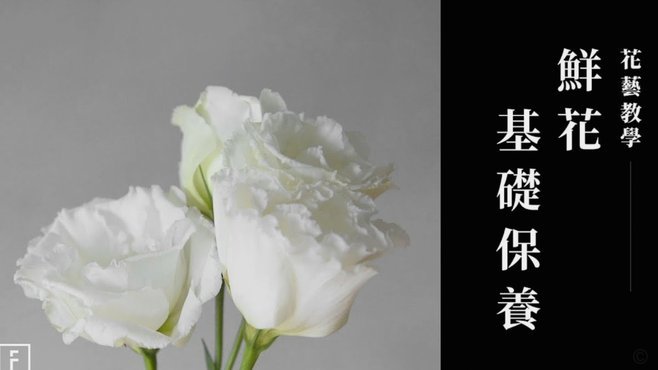 花呗怎么关闭？相关注意事项与流程解析