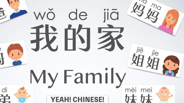 便荔卡包联系人修改失败怎么办？
