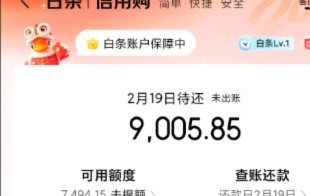 京东白条如何提现？详解提现流程、额度管理及风险防控