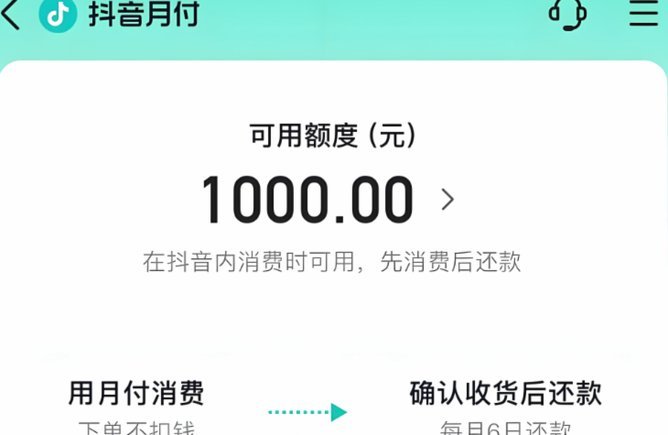 白条付费额度如何安全利用