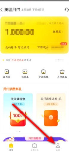 美团月付回收平台秒拒？多方原因及自救指南