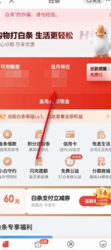 白条欠款一次性结清？提前全额还款指南
