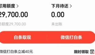 白条资金：玩法与风险解析