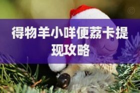 羊小咩提现机制：安全与效率的平衡之道