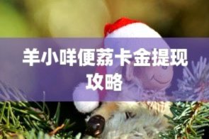 羊小咩提现是怎么弄的