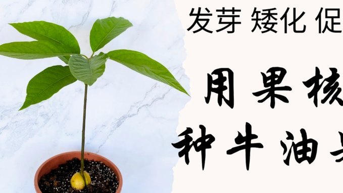 得物余额怎么用？这些技巧帮你省钱